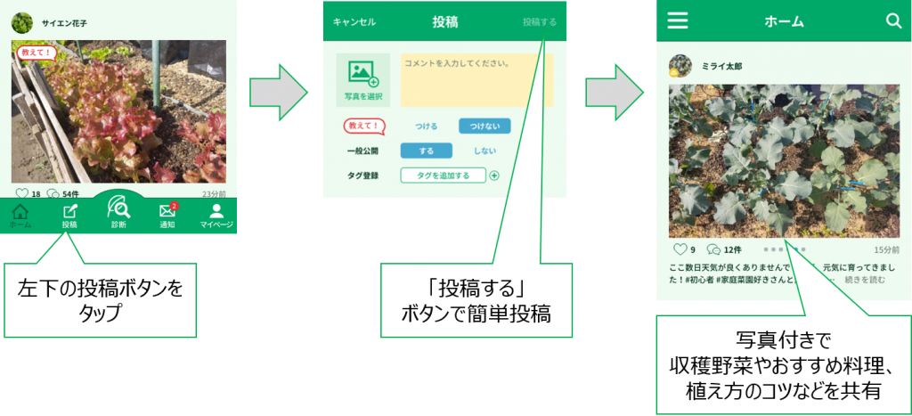 病害虫診断アプリ Scibai 株式会社ミライ菜園