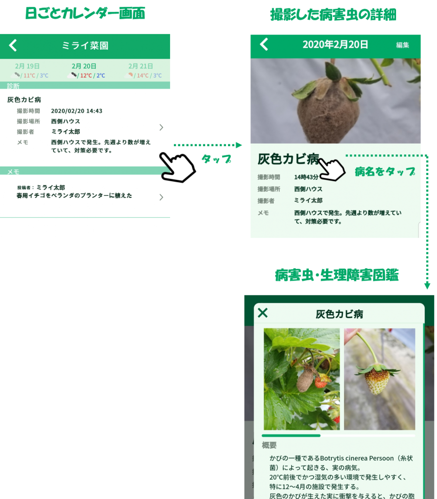 家庭菜園での楽しみ方 病害虫診断アプリscibai 家庭菜園での楽しみ方 病害虫診断アプリscibai