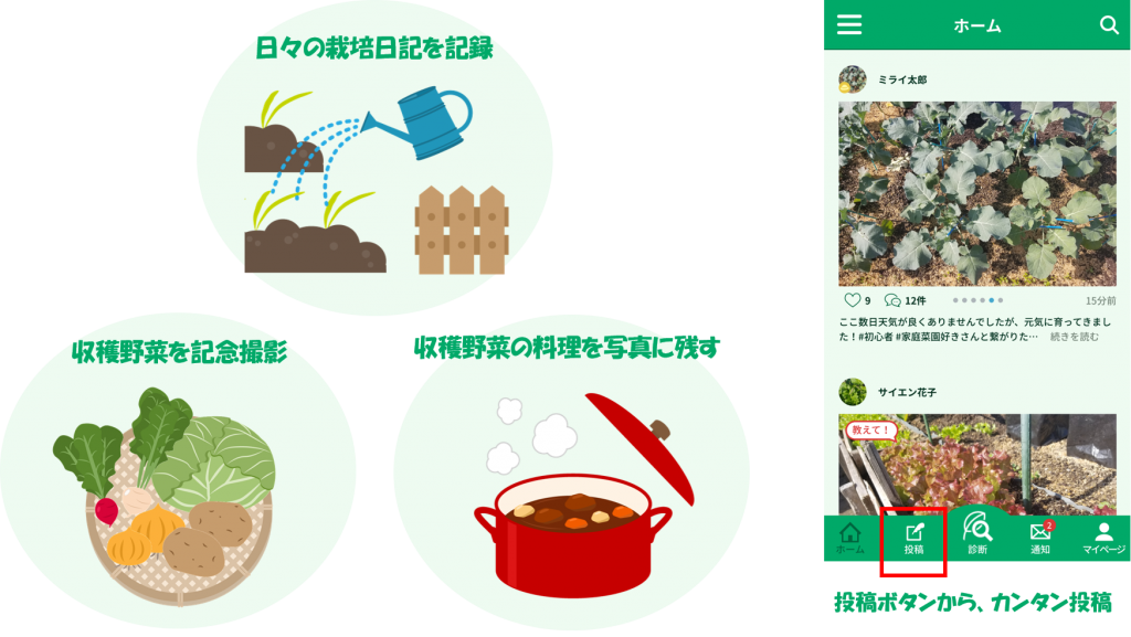 家庭菜園での楽しみ方 病害虫診断アプリscibai 家庭菜園での楽しみ方 病害虫診断アプリscibai