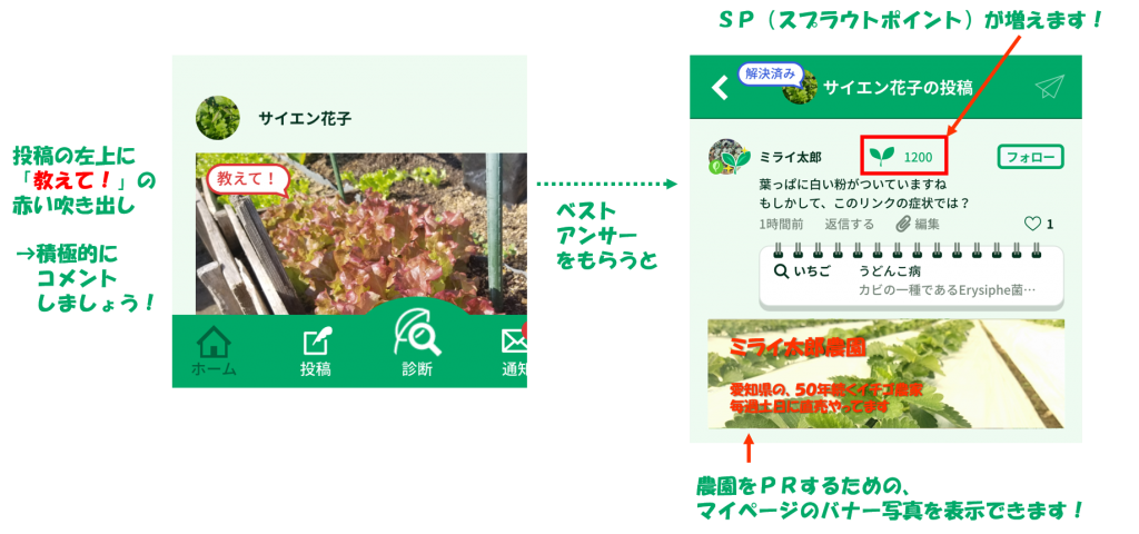 農家のおすすめ活用法 株式会社ミライ菜園