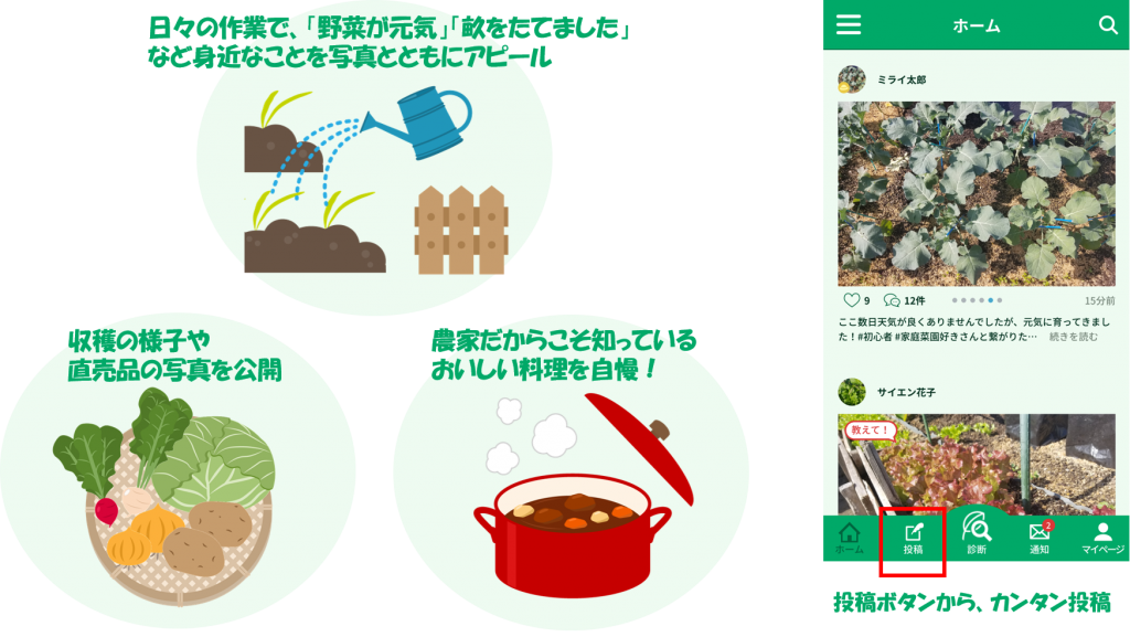 農家のおすすめ活用法 株式会社ミライ菜園