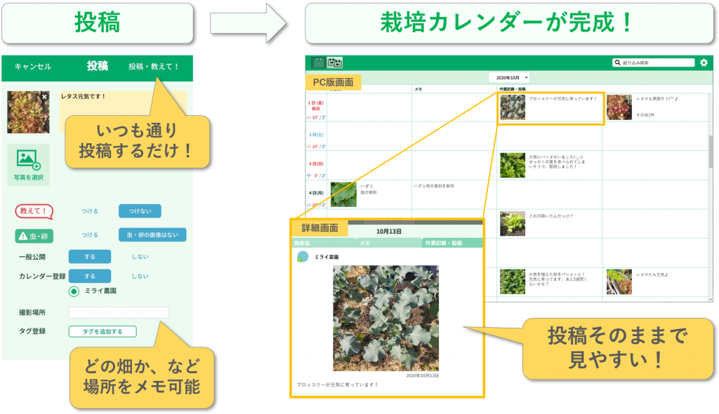 Scibaiカレンダー 株式会社ミライ菜園 Scibaiカレンダー 株式会社ミライ菜園