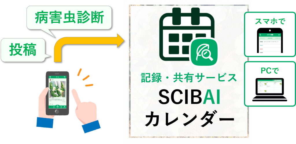 Scibaiカレンダー 株式会社ミライ菜園 Scibaiカレンダー 株式会社ミライ菜園