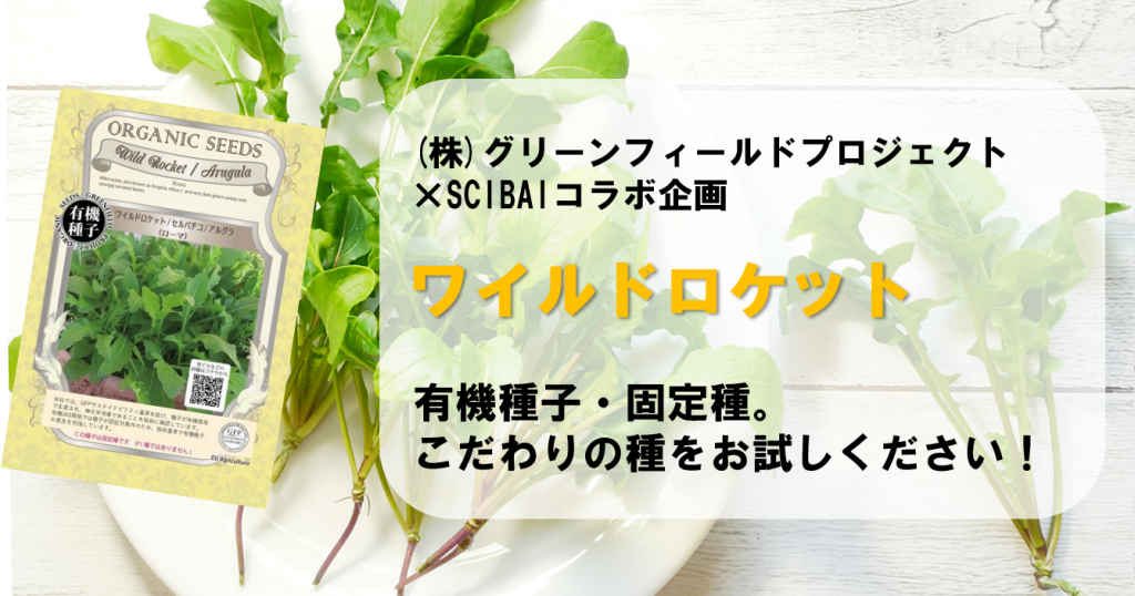 385円 2021年春の グリーンフィールド 野菜有機種子 リーフ レタス lt;レッドサラダボウル 赤gt; 小袋 A049
